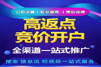 网站SEM托管服务成功案例分享